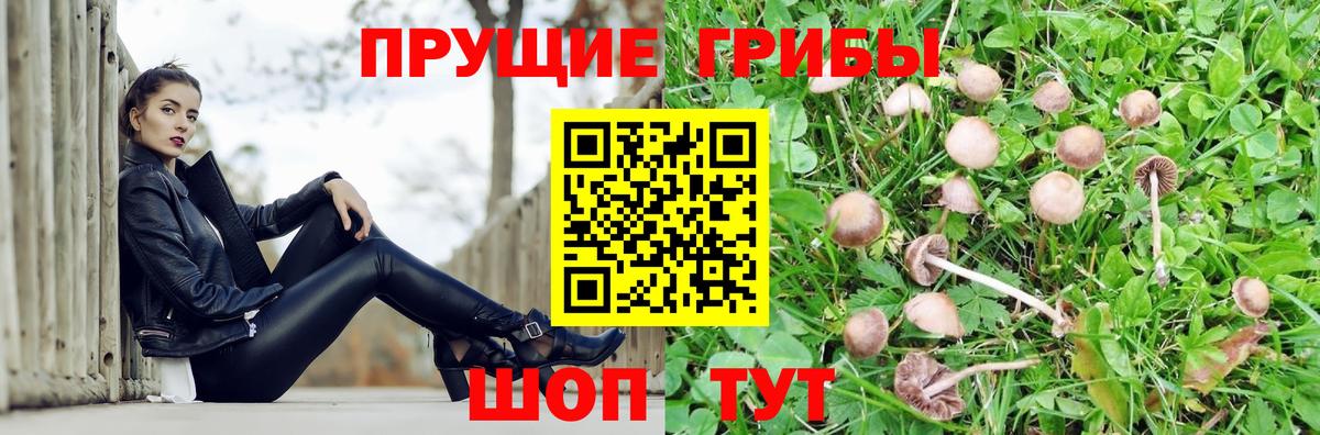 Ишим  Псилоцибиновые грибы GOLDEN TEACHER  Вход с VPN 
