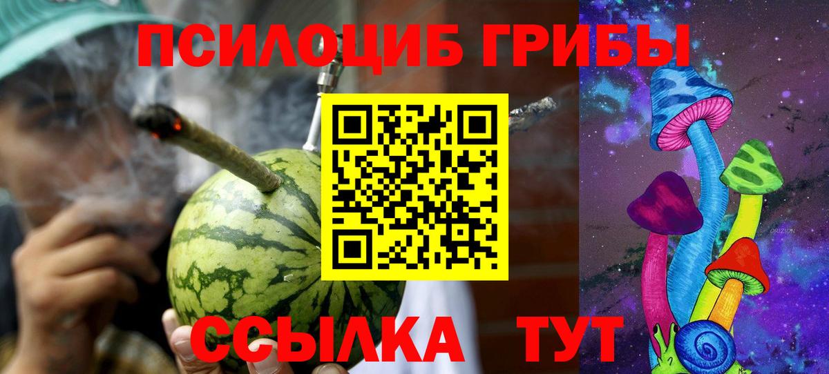 Псилоцибиновые грибы GOLDEN TEACHER Ишим